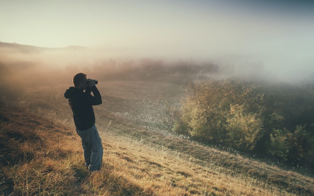 The Therapeutic Wilderness: How Nature Nurtures the Soul