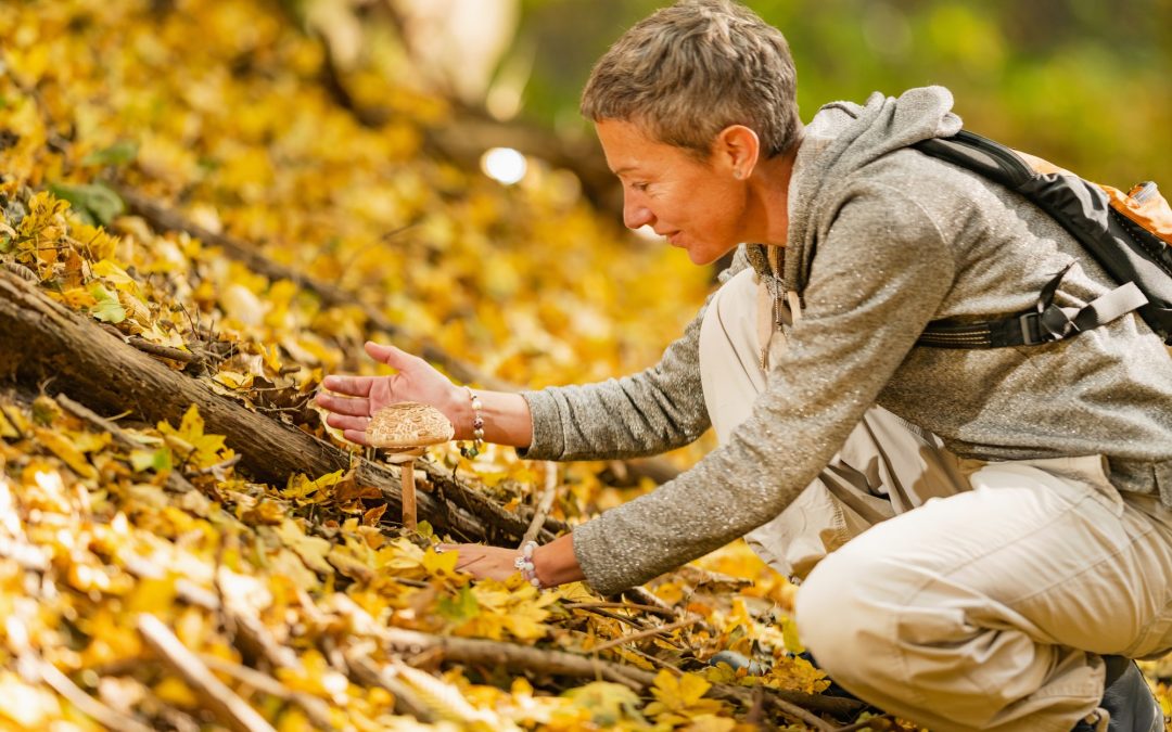 Nature’s Pantry: The Sustainable Practice of Foraging for Food